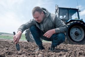 Sowing campaign