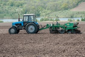 Sowing campaign