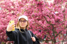 Cherry blossom in Lviv