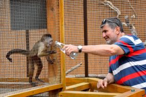 A monkey in the Berdyansk zoo "Safari