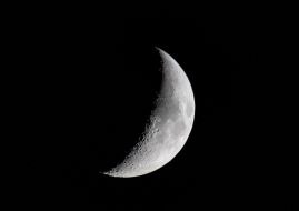 The moon