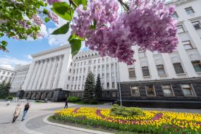 Flowerbed with tulips near the President's Office