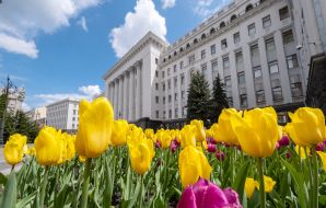 Flowerbed with tulips near the President's Office