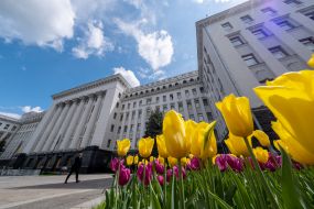 Flowerbed with tulips near the President's Office