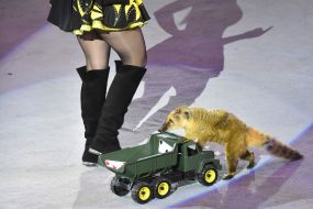 Premiere of the new show "Circus Rhythms of the Heart!" in Zaporozhye