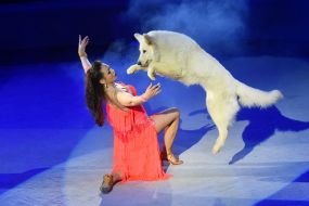 Premiere of the new show "Circus Rhythms of the Heart!" in Zaporozhye