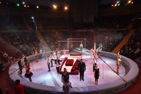 Premiere of the new show "Circus Rhythms of the Heart!" in Zaporozhye