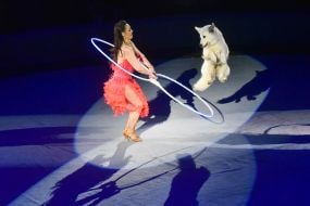 Premiere of the new show "Circus Rhythms of the Heart!" in Zaporozhye