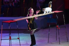 Premiere of the new show "Circus Rhythms of the Heart!" in Zaporozhye