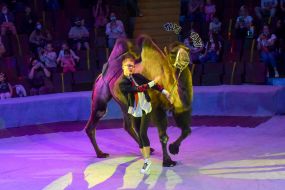 Premiere of the new show "Circus Rhythms of the Heart!" in Zaporozhye