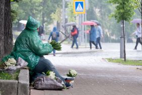 Elderly woman sells flowering willow branches