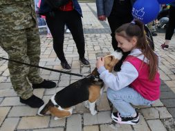 The girl is stroking a service dog
