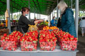 Strawberries on the counter at the Central Market in Kharkov