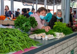 Greens on the counter at the Central Market in Kharkov