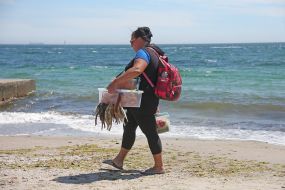 A woman sells a ram and shrimp on the beach