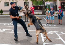 Demonstration of the detention of a conditional offender
