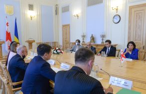 Дмитрий Разумков и Саломе Зурабишвили