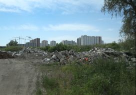 Стихийная свалка в Киеве