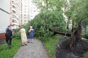 Traces of villains in Lviv