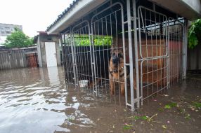 Traces of villains in Lviv