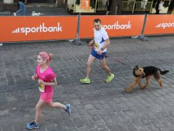 Molokiya Lviv Half Marathon 2021