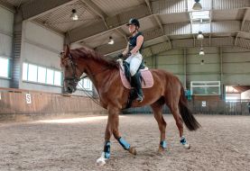 Preparation for the equestrian sports festival
