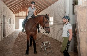 Preparation for the equestrian sports festival