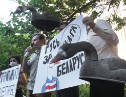Action "Goose for Belarus"