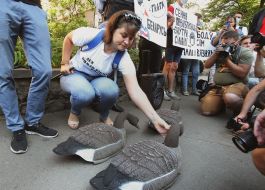 Action "Goose for Belarus"