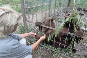 Марина Шквыря