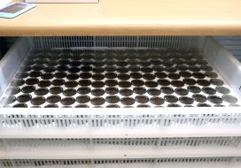 The production of anniversary and commemorative coins