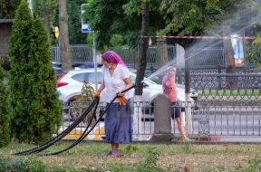Woman watering a flower bed