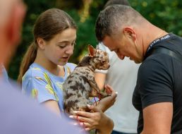 Exhibition of dogs of all breeds
