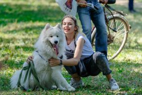 Exhibition of dogs of all breeds
