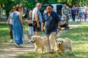 Exhibition of dogs of all breeds