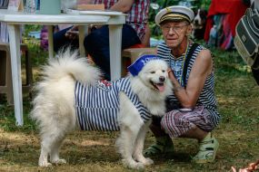 Exhibition of dogs of all breeds