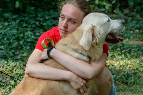 Exhibition of dogs of all breeds