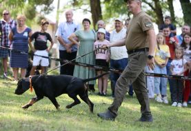 articipants of the championship of hunting dogs "Cup of Galicia