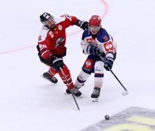 Hockey. HC "Donbass" (Donetsk) and HC "Rungsted" (Denmark)