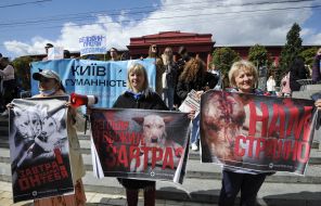 Participants of the All-Ukrainian March for Animals