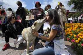 Participants of the All-Ukrainian March for Animals
