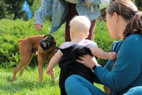 The child is watching the dog