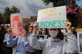 Participants of the All-Ukrainian March for Animals