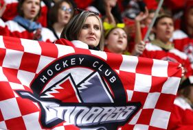 Fan of HC Donbass (Donetsk, Ukraine)