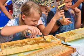 Beekeeping master class