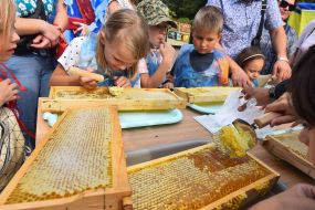 Beekeeping master class