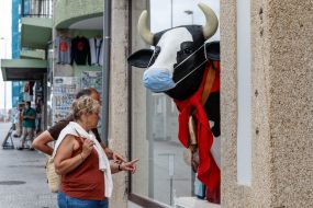 Installation "Cow in a mask" in a shop window