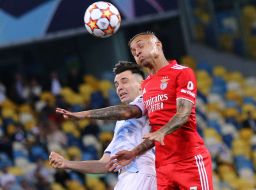 Football. Dynamo - Benfica