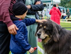 Хлопчик гладить собаку
