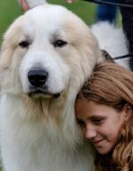Girl with a dog